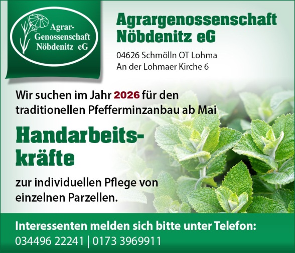 Wir suchen im Jahr 2025 für den traditionellen Pfefferminzanbau ab Mai Handarbeitskräfte zur individuellen Pflege einzelner Parzellen.