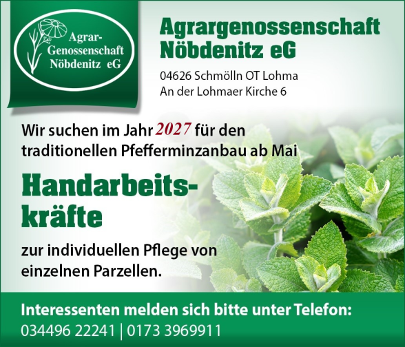 Wir suchen im Jahr 2026 für den traditionellen Pfefferminzanbau ab Mai Handarbeitskräfte zur individuellen Pflege einzelner Parzellen.